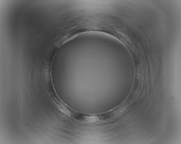 X0000075860409200609291553