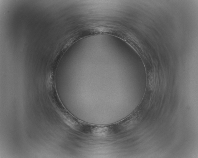 X0000075860410200609291553