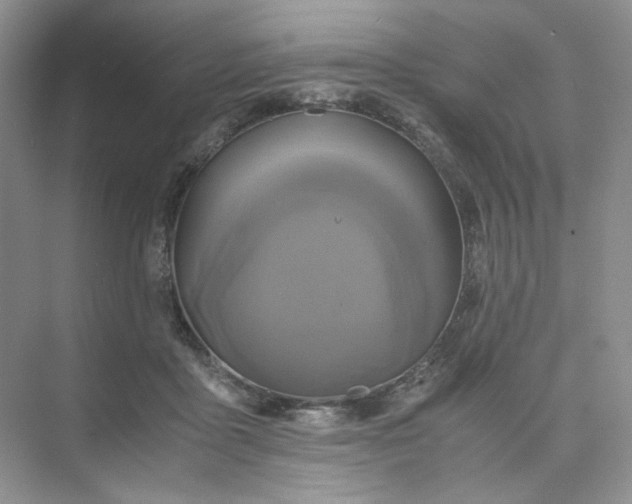 X0000075860411200609291553