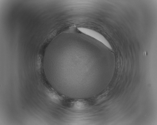 X0000075860412200609291553