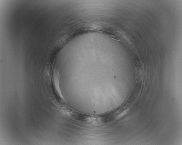 X0000075860415200609291553