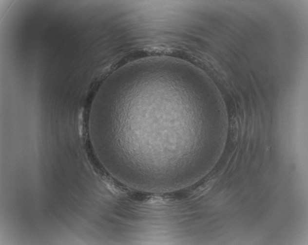 X0000075860416200609291553