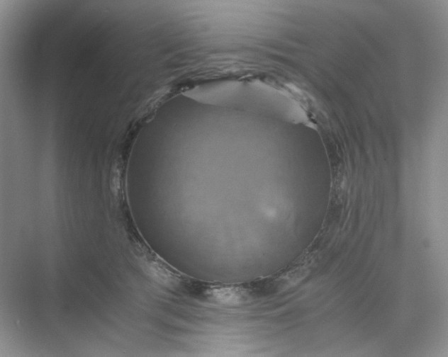 X0000075860417200609291553