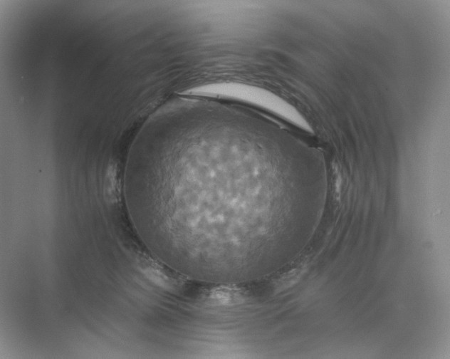 X0000075860420200609291553