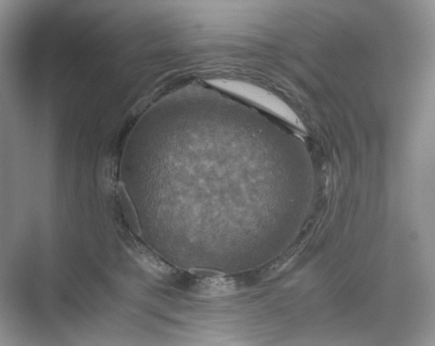 X0000075860421200609291553