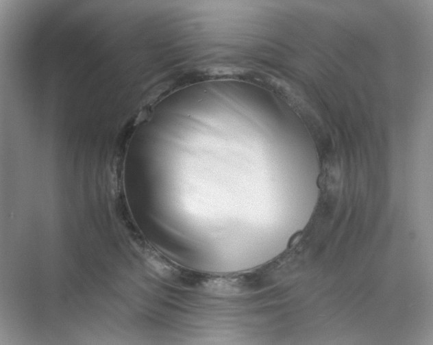 X0000075860422200609291553