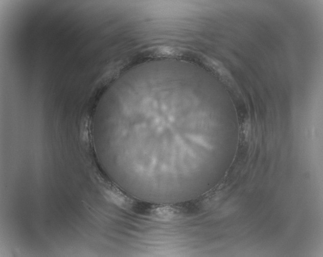 X0000075860423200609291553