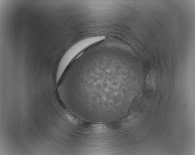 X0000075860424200609291553