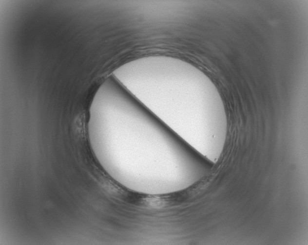 X0000075860425200609291553