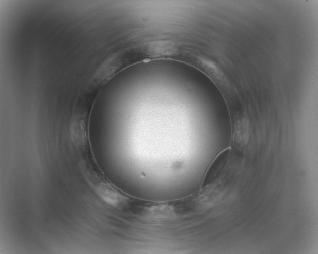 X0000075860426200609291553