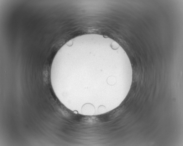 X0000075860427200609291553