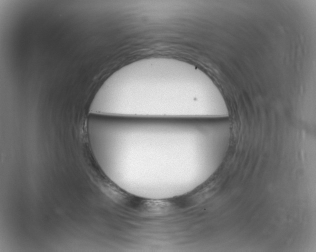 X0000075860429200609291553