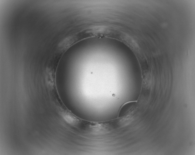 X0000075860430200609291553