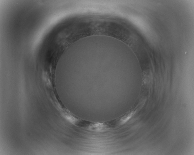 X0000075860431200609291553