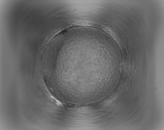 X0000075860433200609291552