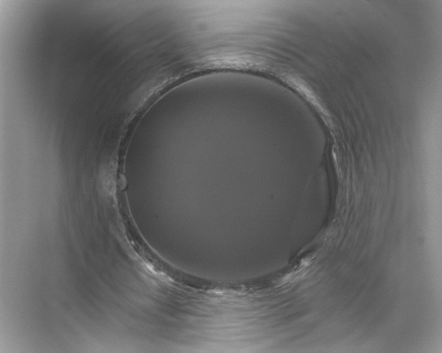 X0000075860434200609291552