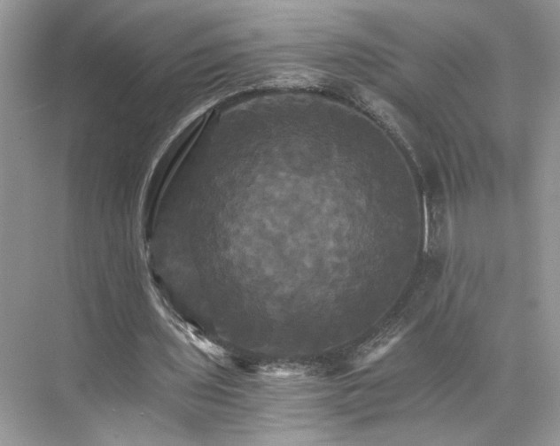 X0000075860435200609291552