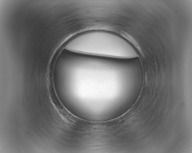 X0000075860436200609291552