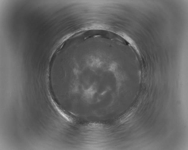 X0000075860437200609291552