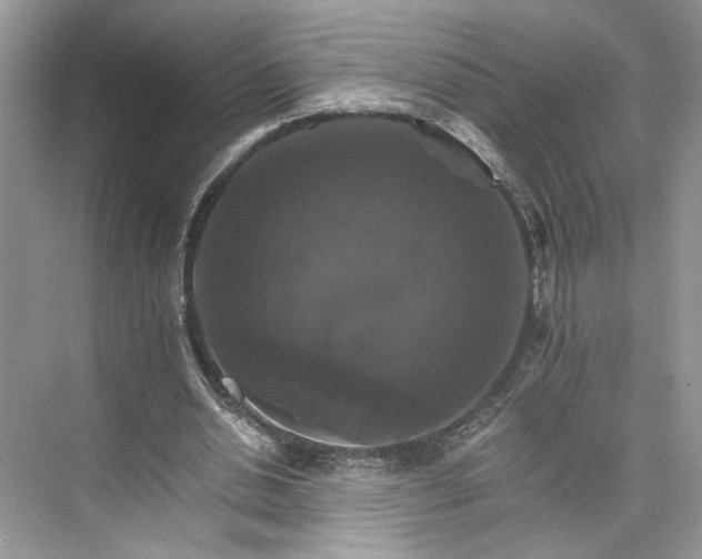 X0000075860438200609291552