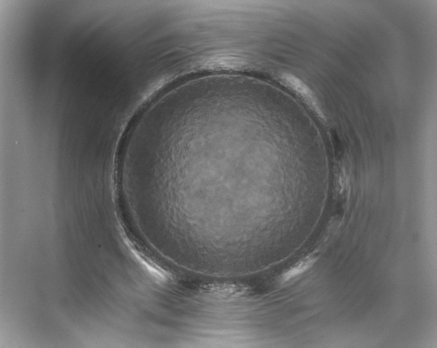 X0000075860439200609291552