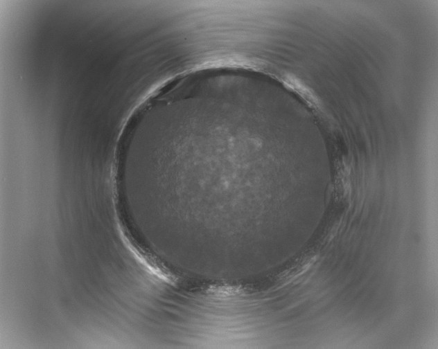 X0000075860440200609291552