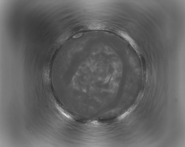 X0000075860441200609291552