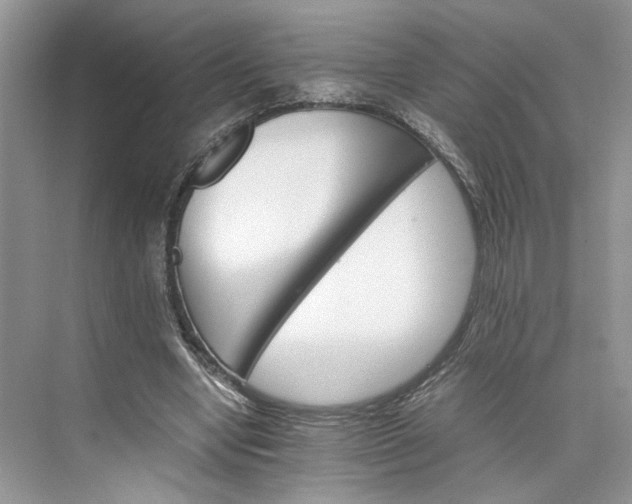 X0000075860442200609291552