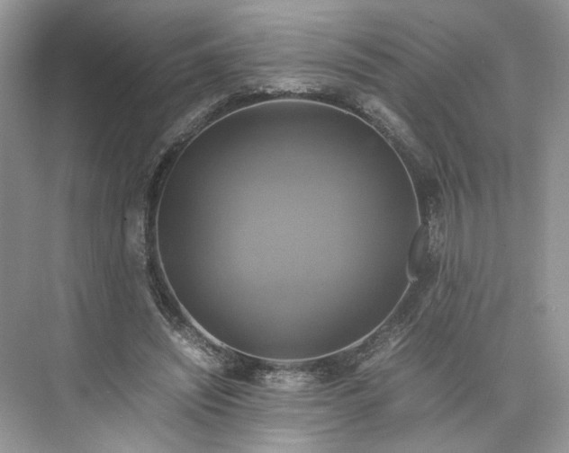 X0000075860444200609291552