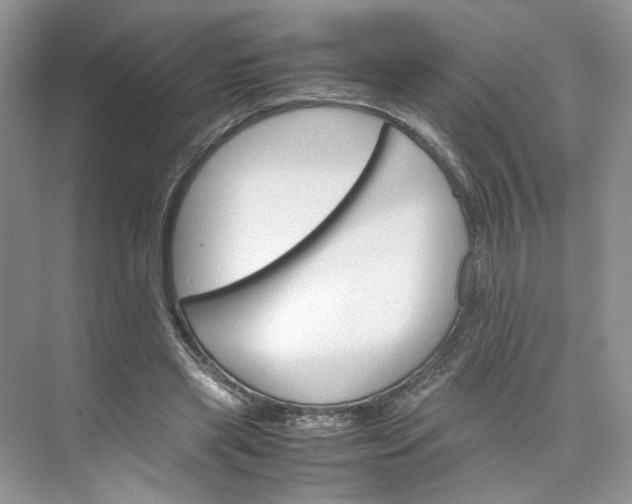 X0000075860445200609291552