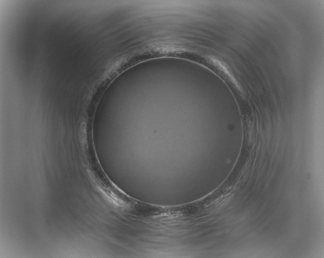 X0000075860447200609291552