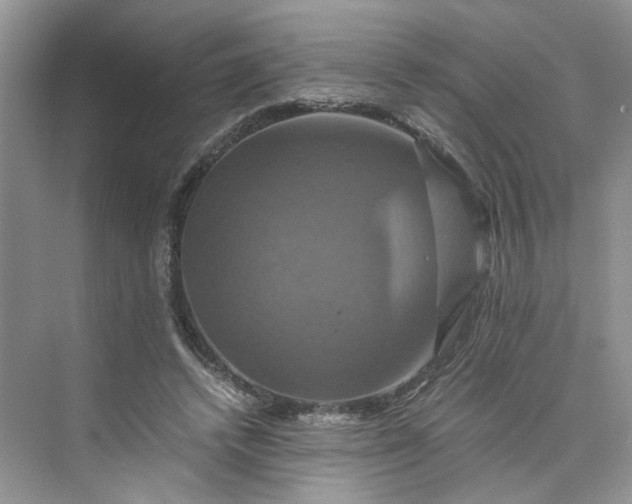 X0000075860448200609291552