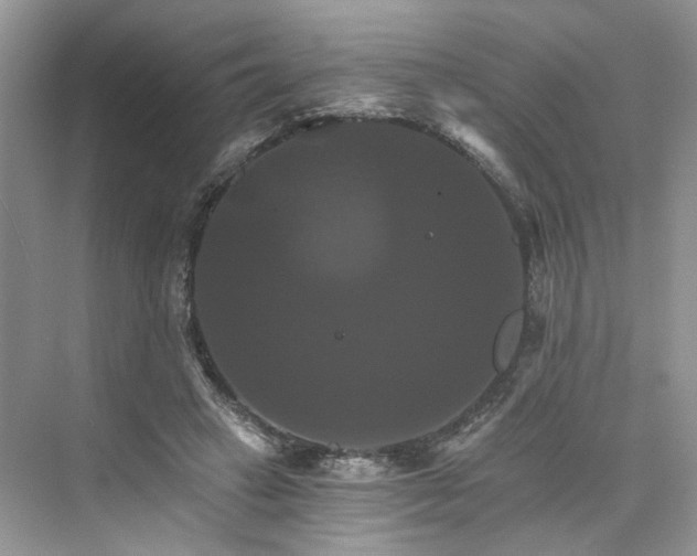 X0000075860449200609291552