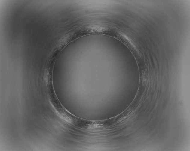 X0000075860451200609291552