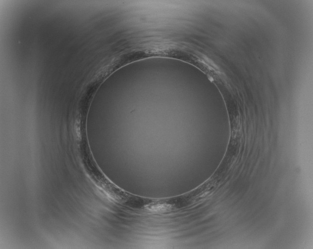 X0000075860452200609291552