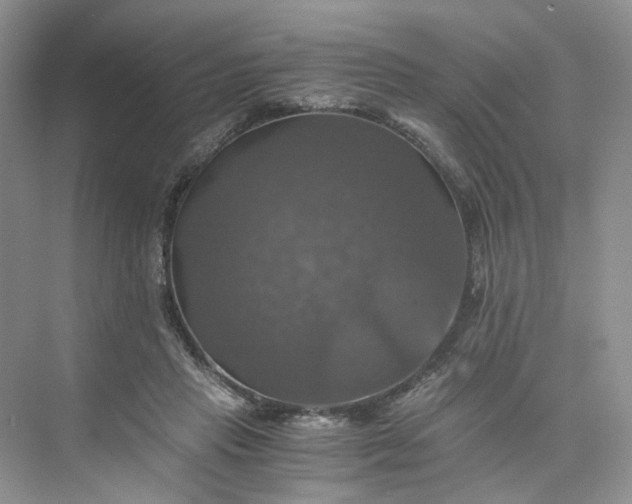 X0000075860453200609291552