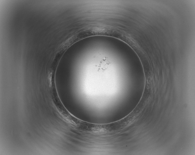 X0000075860454200609291552