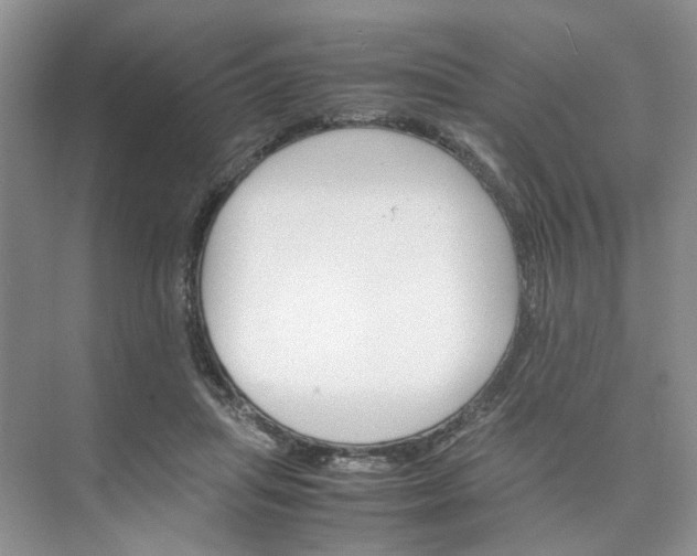 X0000075860455200609291552