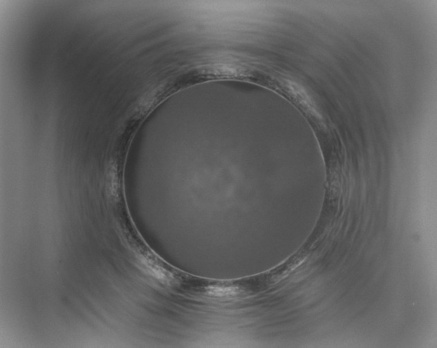 X0000075860457200609291552