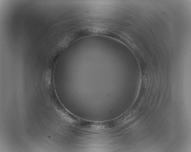 X0000075860458200609291552