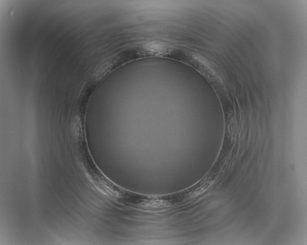 X0000075860459200609291552