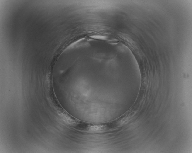 X0000075860461200609291552