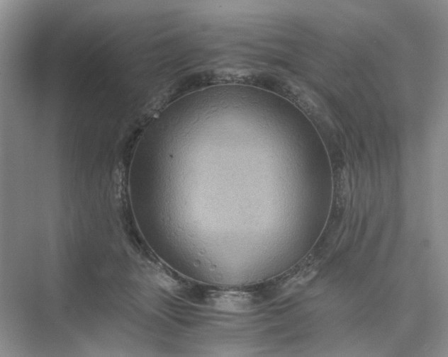 X0000075860463200609291552