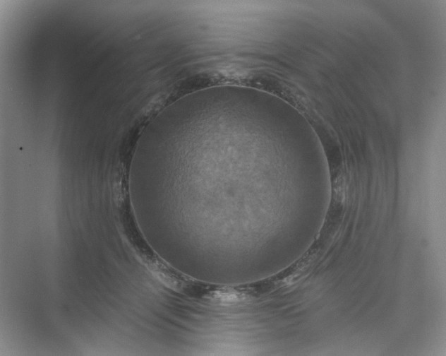 X0000075860464200609291552