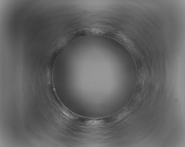 X0000075860465200609291552