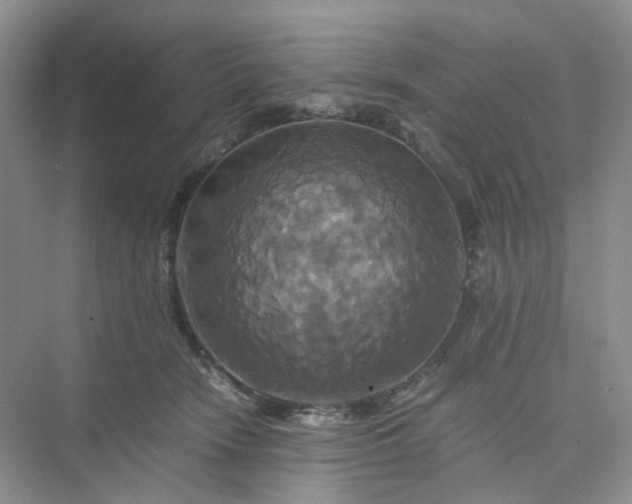 X0000075860466200609291552