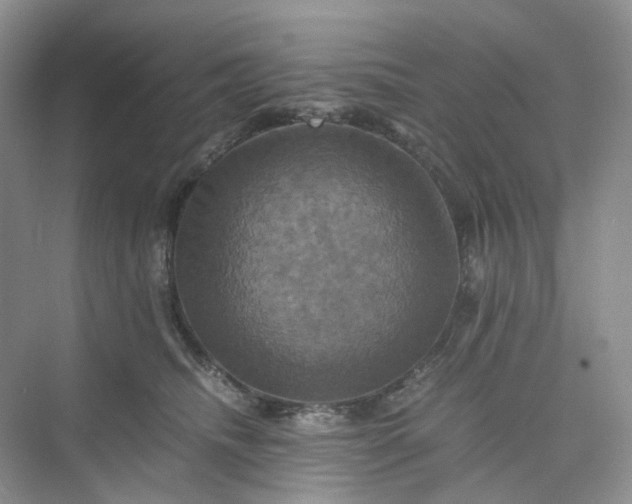 X0000075860468200609291552