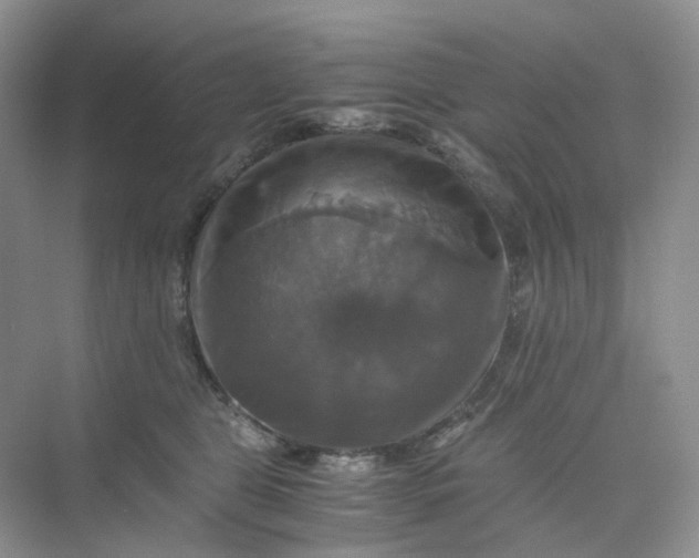 X0000075860469200609291552