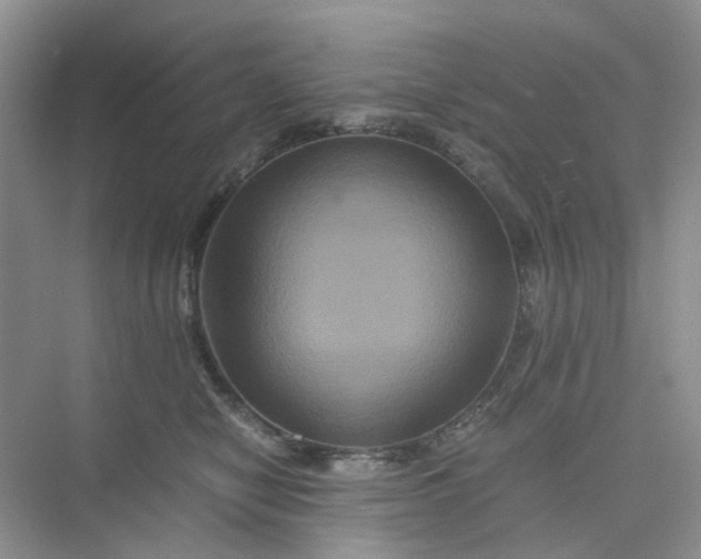 X0000075860470200609291552