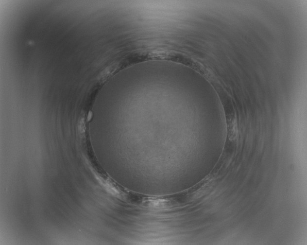 X0000075860472200609291552